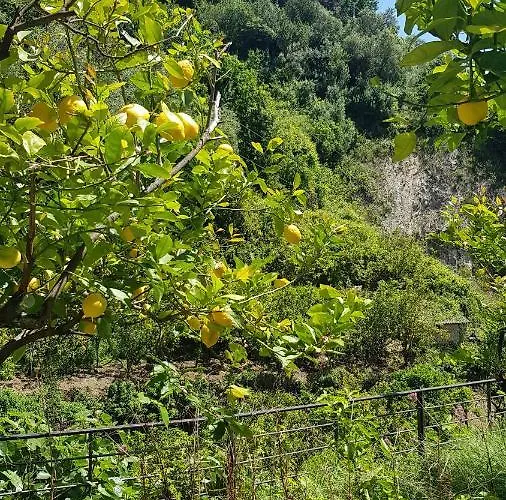 Гостевой дом La Casa Dei Limoni 3*