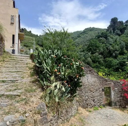 Гостевой дом La Casa Dei Limoni Монтероссо-аль-Маре