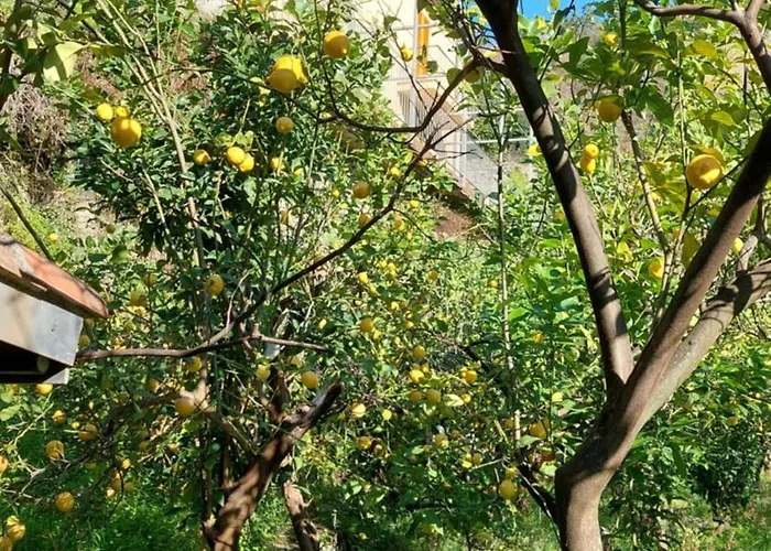 La Casa Dei Limoni Монтероссо-аль-Маре