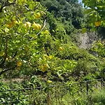Gasthof La Casa Dei Limoni 3*