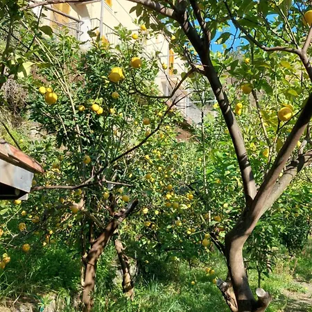 La Casa Dei Limoni 몬테로소 알 마레