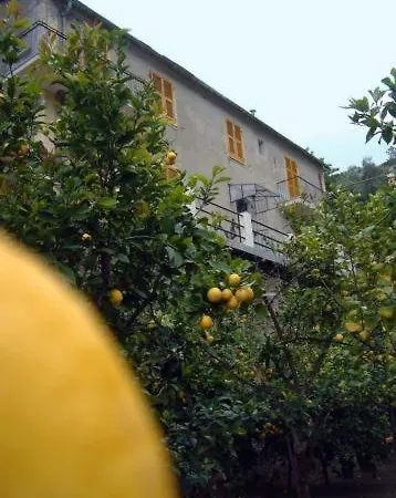 Affittacamere La Casa Dei Limoni