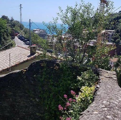 La Casa Dei Limoni 招待所