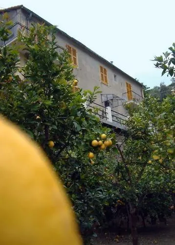 招待所 La Casa Dei Limoni