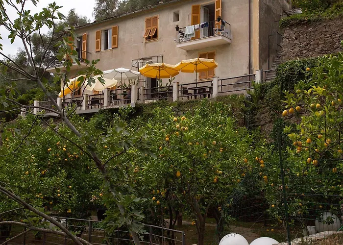 招待所 La Casa Dei Limoni 3*