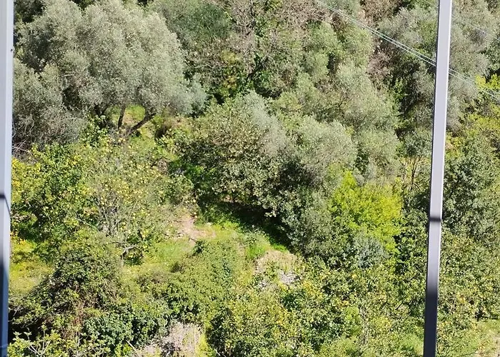 La Casa Dei Limoni 3* 蒙特罗索阿尔马雷